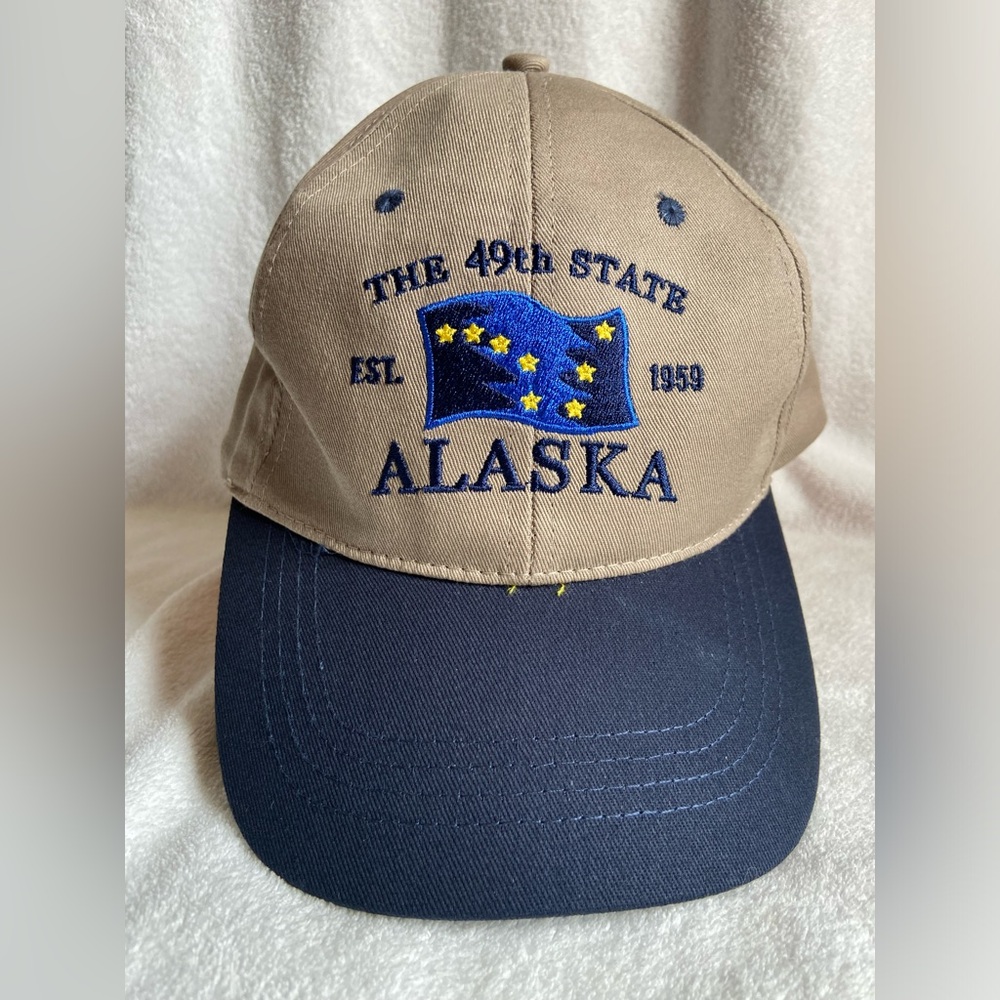 Trendy Alaska State Flag Dad Hat